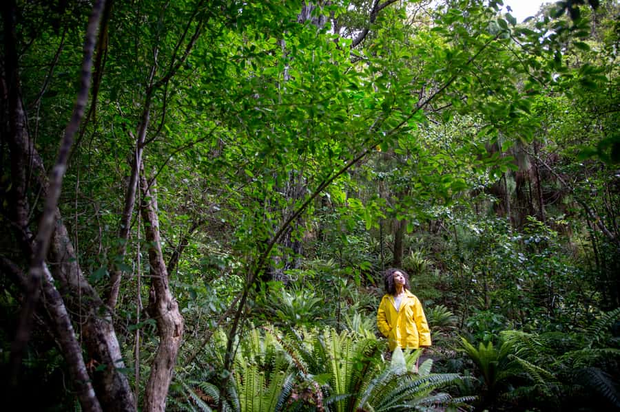 Stewart Island: Ulva Island Guided Wilderness Walk & Cruise - Who should book this tour, and who should look elsewhere