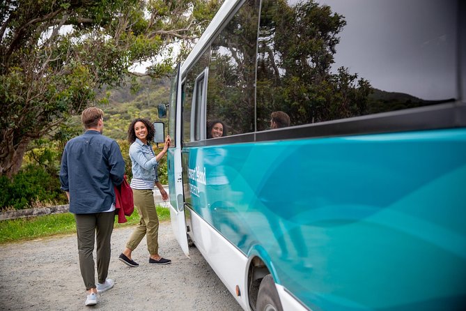 Stewart Island: Village and Bays Tour - Oban is your quick start to Rakiura