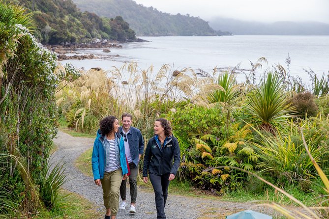 Stewart Island: Village and Bays Tour - Observation Rock and Paterson Inlet views that frame the whole island