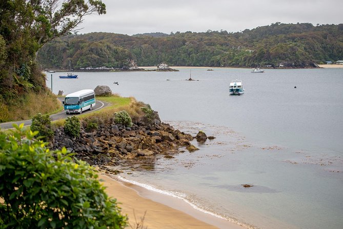 Stewart Island: Village and Bays Tour - Local guide energy, humor, and real community context