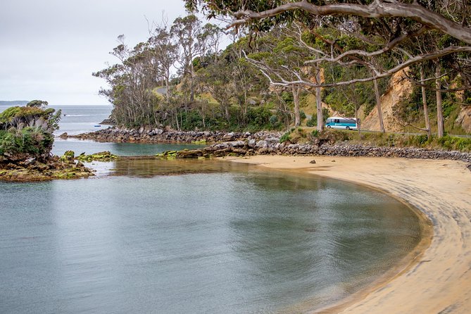 Stewart Island: Village and Bays Tour - What the tour feels like hour-by-hour (without the guesswork)