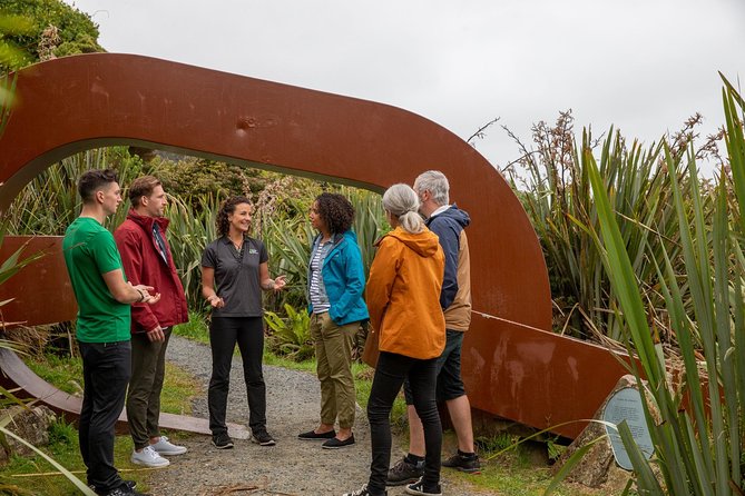Stewart Island: Village and Bays Tour - The modern mini-bus setup is built for time and weather