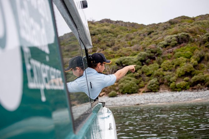 Stewart Island: Wild Kiwi Experiences - How the Wild Kiwi Experience runs in 4 focused hours
