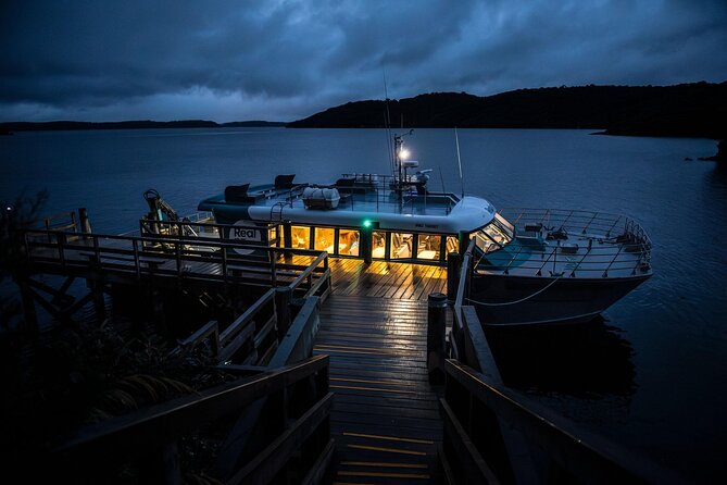 Stewart Island: Wild Kiwi Experiences - Price and value: does $154 pp make sense?