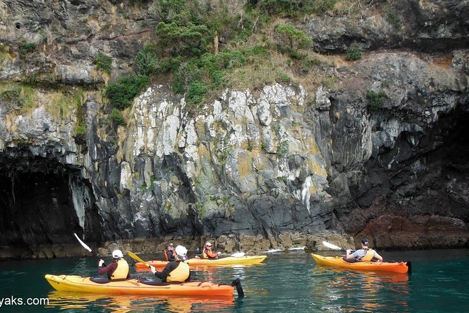 Sunrise wildlife sea kayaking in Akaroa marine reserve - The 7:30am start, and why it frees up your whole day