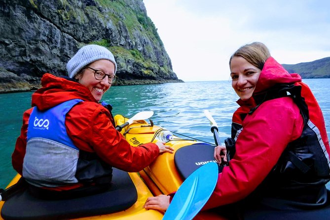 Sunrise wildlife sea kayaking in Akaroa marine reserve - From the harbor shallows to open water, with real coaching