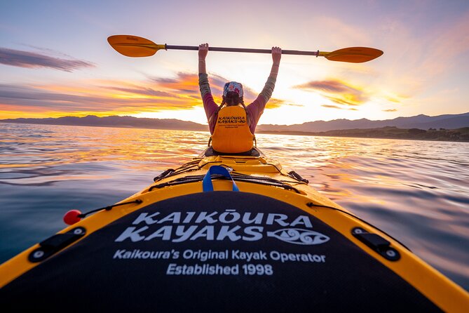 Sunset Evening Kayaking Tour - Kaikoura - Key highlights before you paddle