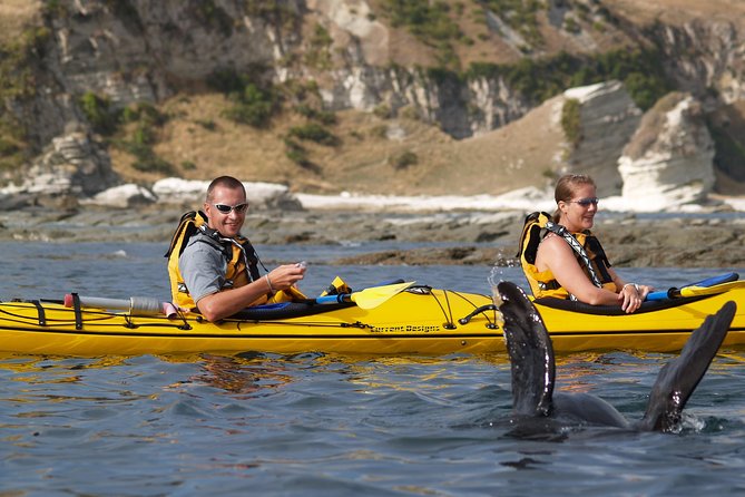 Sunset Evening Kayaking Tour - Kaikoura - What the kayaking feels like: waves, comfort, and effort level