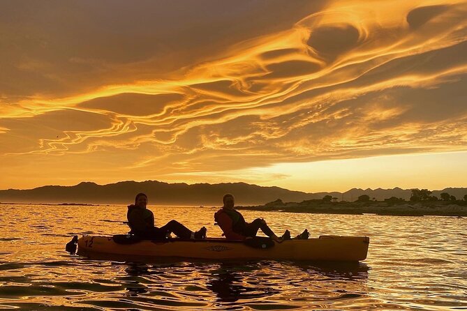 Sunset Kayak tour in Kaikoura - Key Highlights (Quick Takes)
