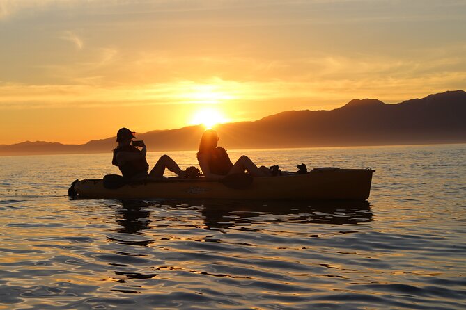 Sunset Kayak tour in Kaikoura - Logistics That Matter Less Than You Think