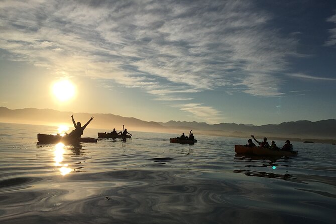 Sunset Kayak tour in Kaikoura - Who Should Book This Sunset Kayak in Kaikoura?