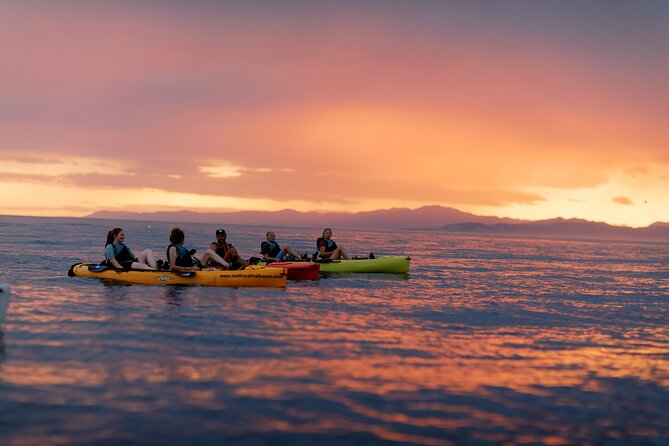 Sunset Kayak tour in Kaikoura - Hobie Mirage Drive Pedals: The “Hands Free” Advantage You’ll Actually Notice