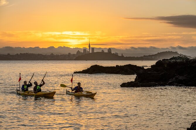 Sunset kayak tour to Rangitoto Island - Sunset kayaking, volcano hiking, and Auckland lights in one trip