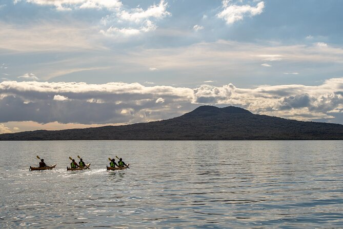 Sunset kayak tour to Rangitoto Island - Kayaking back after dark: city lights, real sea conditions