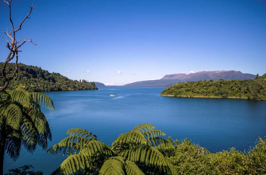 Tarawera and Lakes 2-Hour Duck Eco Tour - The WWII duck in Rotorua: what the 2 hours really feel like
