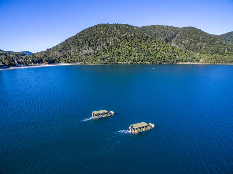 Tarawera and Lakes 2-Hour Duck Eco Tour - The ConDUCKtor’s commentary: where laughs meet geology