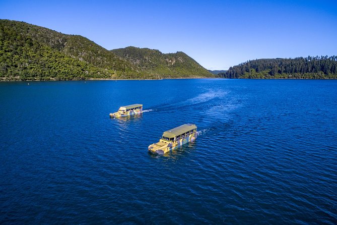 Tarawera and Rotorua Lakes Eco Tour by Boat with Guide - What to bring, and the cold-weather reality