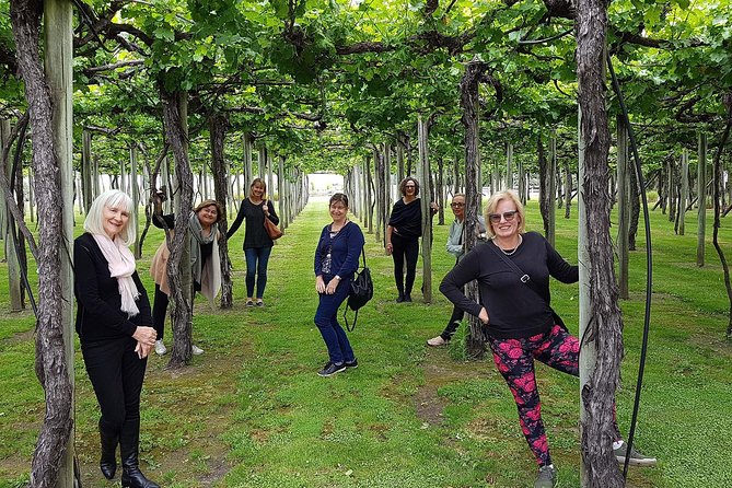 Taste the Valley Wine Tour in Marlborough with Wine Tasting - Lunch stop at your own expense: budget and timing