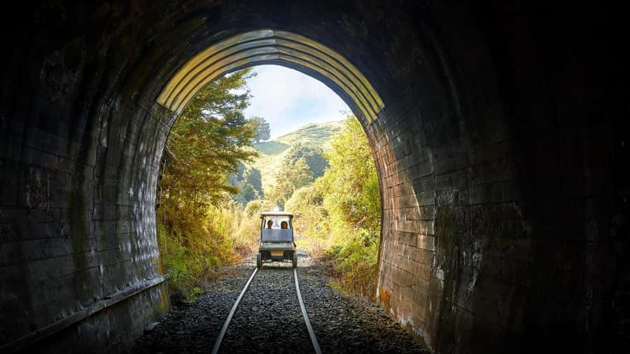 Taumarunui: Forgotten World Rail Cart Tour with Lunch - Key points worth planning around