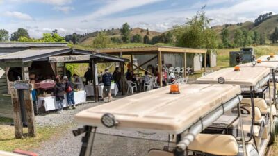 Taumarunui: Forgotten World Rail Cart Tour with Lunch