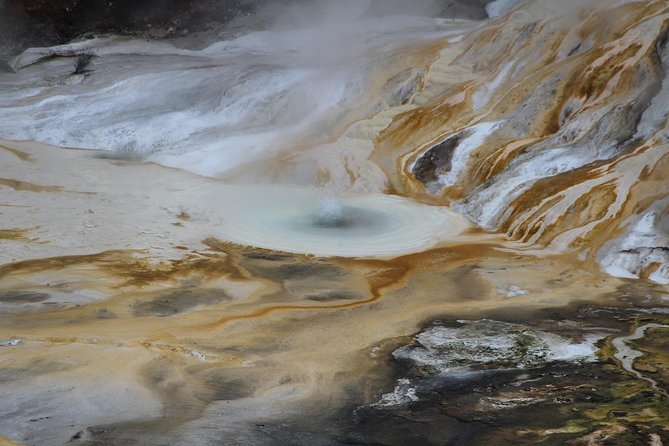 Taupo Day Trip with Orakei Korako or Waiotapu from Rotorua - Wai-O-Tapu Thermal Wonderland, for color, steam, and “how is this even real?”