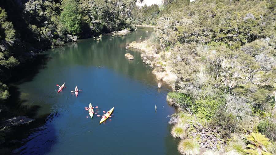 Taupō: Hidden Lake Kayak Tour with Sunken Forest Views - Key highlights at a glance