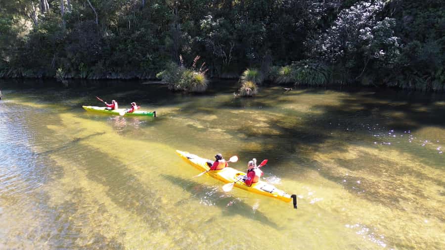 Taupō: Hidden Lake Kayak Tour with Sunken Forest Views - Why Taupo’s Hidden Lake feels like a secret sanctuary