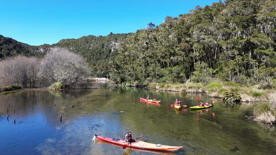 Taupō: Hidden Lake Kayak Tour with Sunken Forest Views - A 30-minute safety briefing that sets you up for confidence