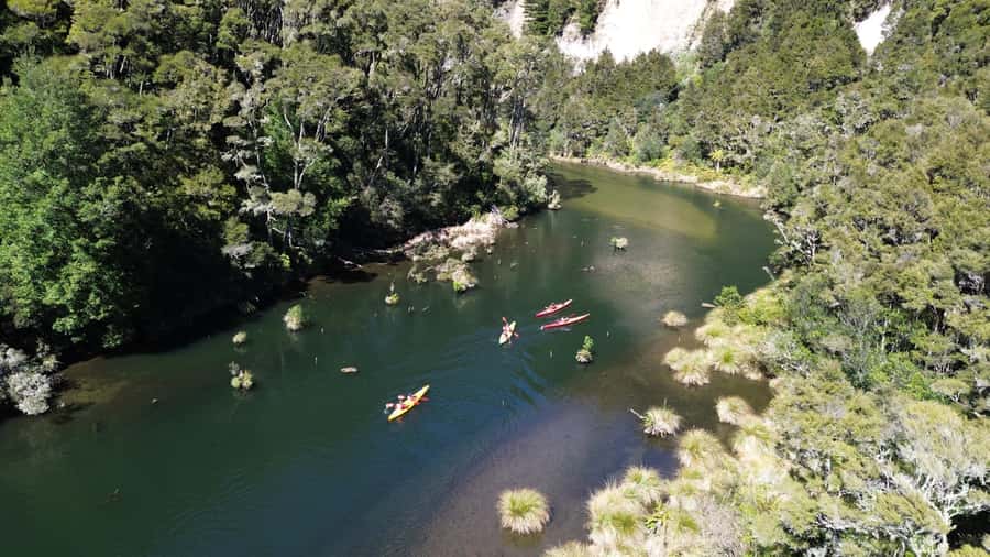 Taupō: Hidden Lake Kayak Tour with Sunken Forest Views - Gliding across the lake, then paddling over a sunken forest