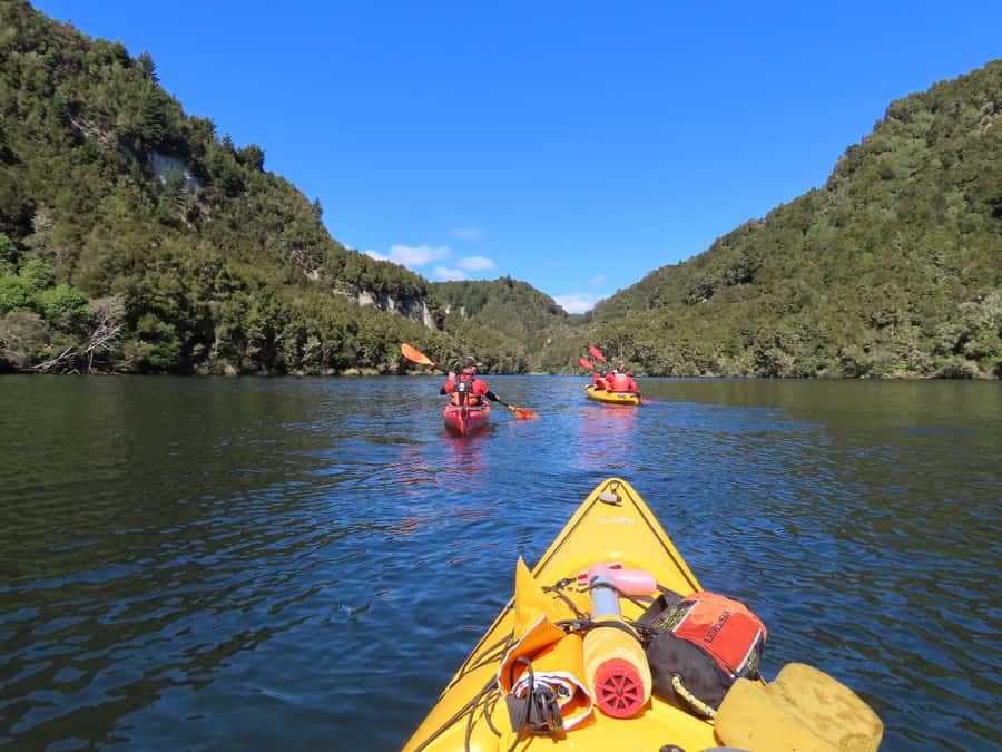 Taupō: Hidden Lake Kayak Tour with Sunken Forest Views - Hidden canyon tranquility and close birdlife encounters