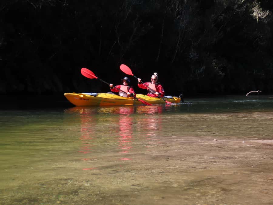 Taupō: Hidden Lake Kayak Tour with Sunken Forest Views - Beginner-friendly and family-friendly, with real instruction
