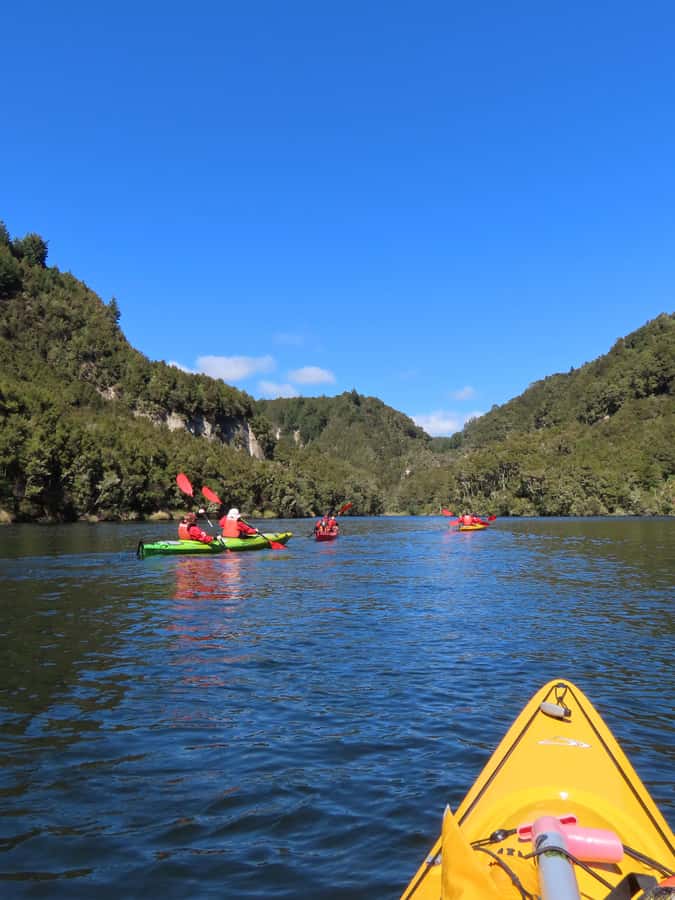 Taupō: Hidden Lake Kayak Tour with Sunken Forest Views - Timing and pacing: how the 4 hours are structured