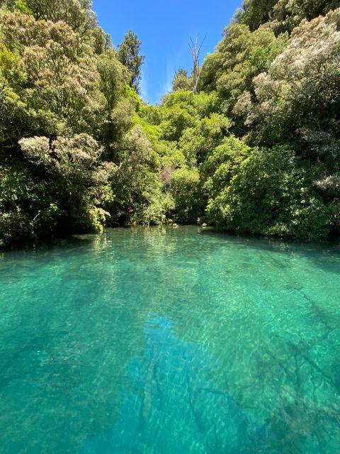 Taupo: Lake Taupo Western Bays Catamaran Tour with Bush Walk - What to bring so the experience stays comfortable