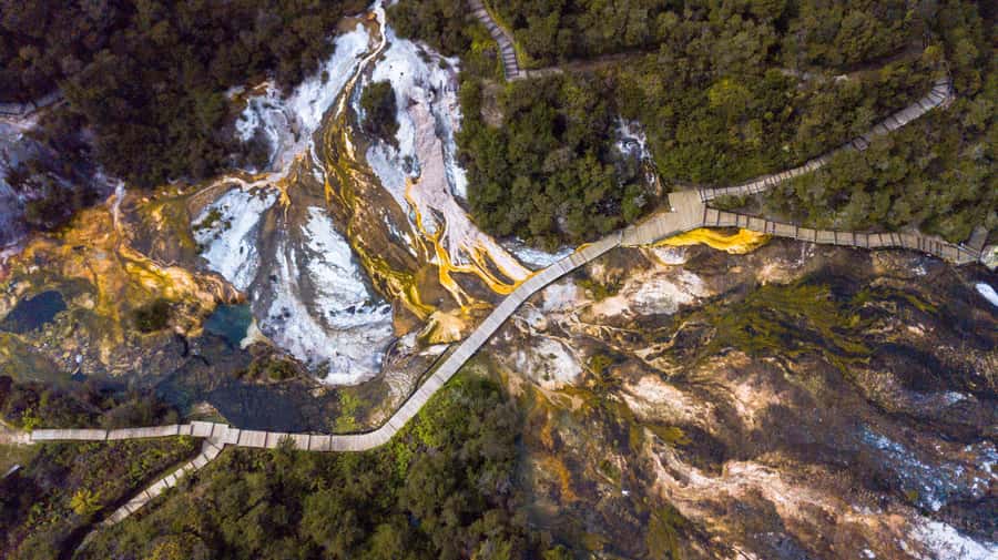 Taupo: Orakei Korako Geothermal Park and Cave Entry Ticket - Key things I’d plan around