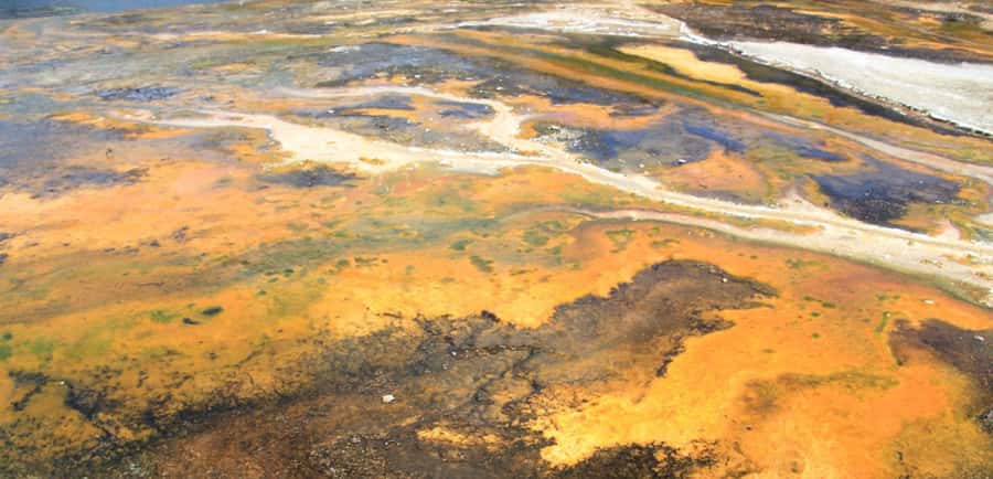 Taupo: Orakei Korako Geothermal Park and Cave Entry Ticket - Who should book Orakei Korako, and who should skip it