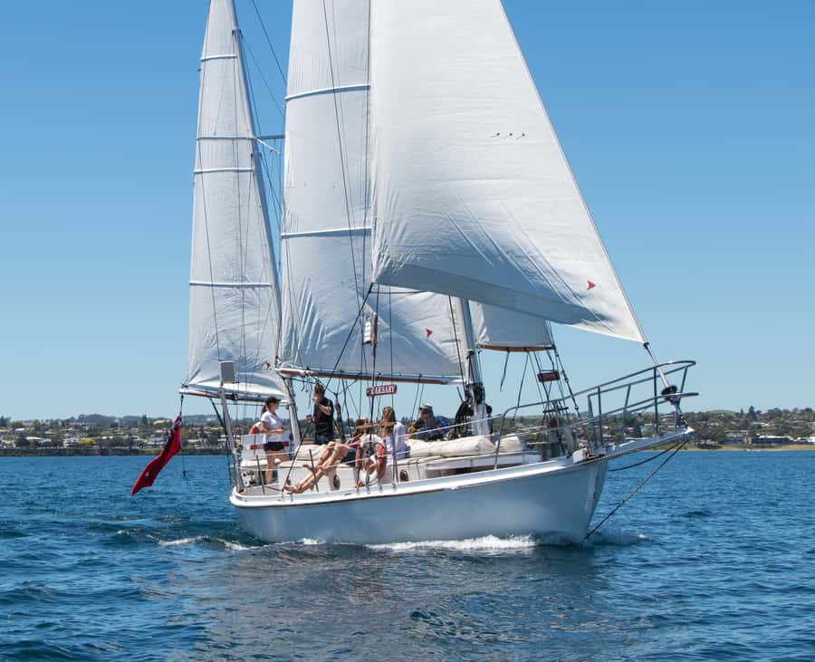 Taupō: Sail Barbary Eco Sailing to the Maori Rock Carvings - Wind, motor assist, and motion comfort on an electric sailboat