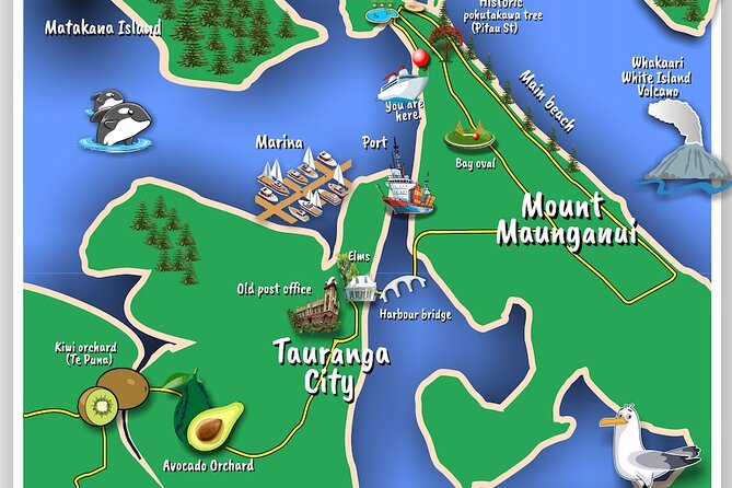 TAURANGA City & Scenic Sightseeing 2-hour Local Bus Tour - Key highlights to know before you go