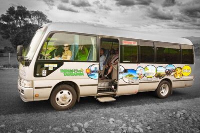 TAURANGA City & Scenic Sightseeing 2-hour Local Bus Tour