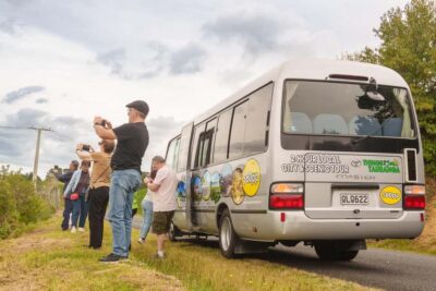 Tauranga City & Scenic Sightseeing 2-hour Local Tour