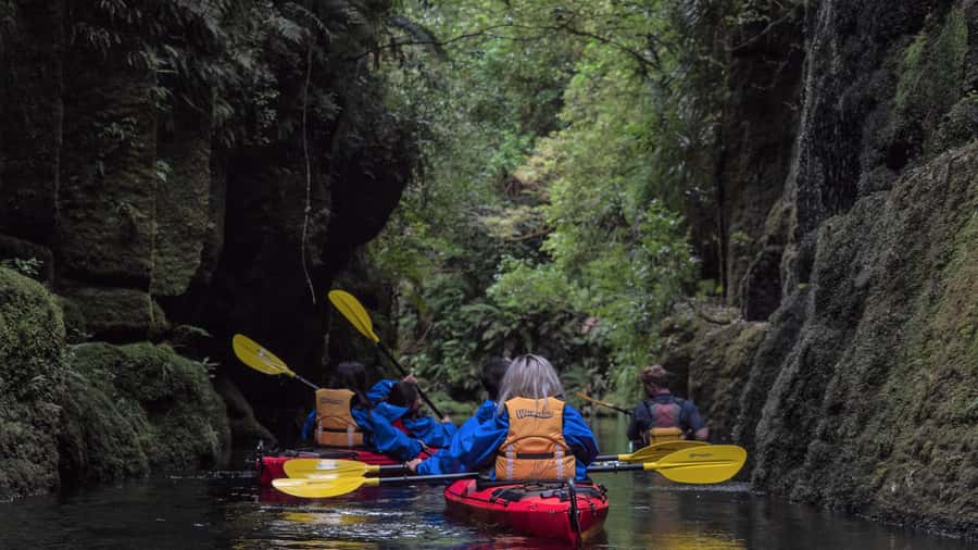Tauranga: Daytime Scenic Lake McLaren Kayak Tour - Why Lake McLaren Makes This a Great Tauranga Paddle