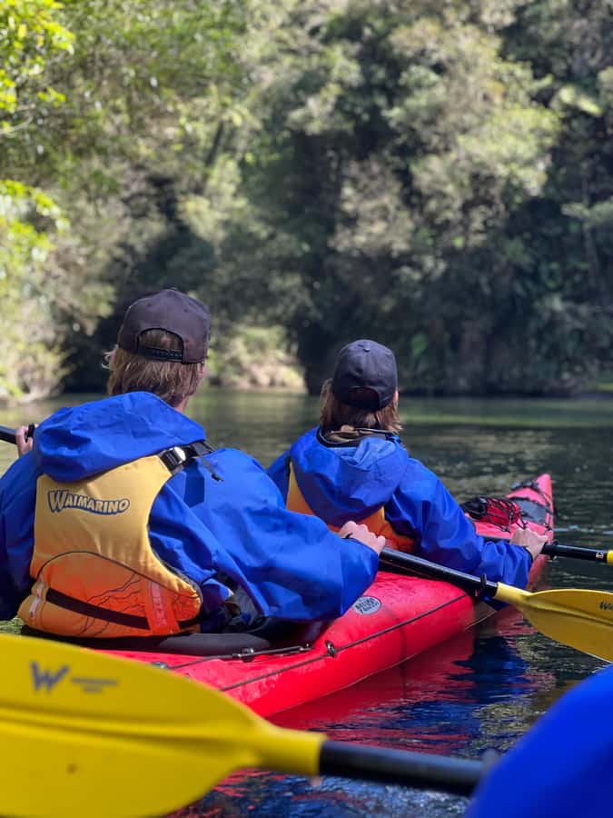 Tauranga: Daytime Scenic Lake McLaren Kayak Tour - Price and Value: Is $104 for 3 Hours Fair?