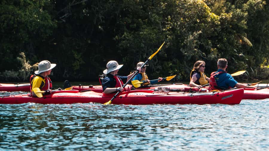 Tauranga: Daytime Scenic Lake McLaren Kayak Tour - Getting There: Bethlehem Meeting Point to the Launch Area