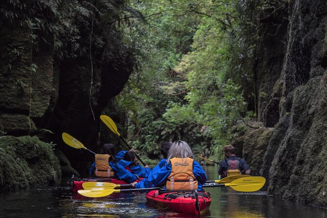 Tauranga Daytime Scenic Lake McLaren Tour - Key things to know before you go