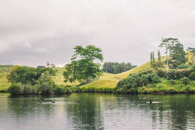 Tauranga Daytime Scenic Lake McLaren Tour - The guide experience: how names like Troy, Leo, Craig, and David shape it