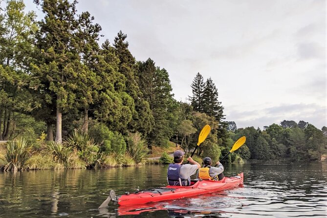 Tauranga Daytime Scenic Lake McLaren Tour - Price and value: is $108.60 worth it?
