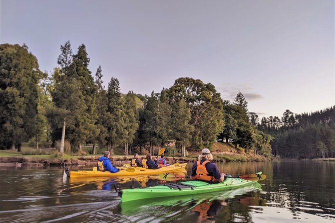 Tauranga: Evening Glowworm Kayak Tour - Lake McLaren at Dusk: The Glow Worm Setup That Feels Different