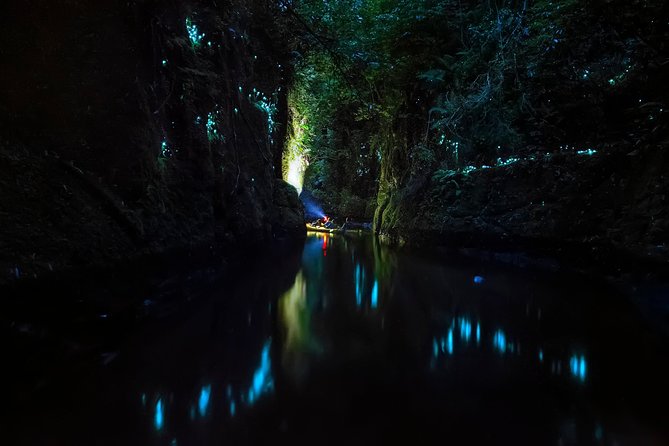 Tauranga: Evening Glowworm Kayak Tour - Transfers, Timing, and Why Meeting Point Details Can Decide Your Stress Level