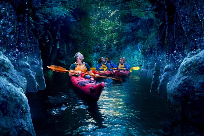 Tauranga: Evening Glowworm Kayak Tour - Bethlehem meetup to rolling countryside to Lake McLaren
