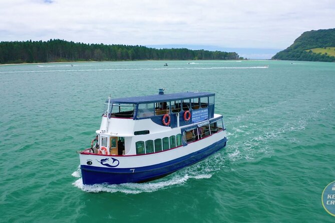 Tauranga Harbour Scenic One Hour Historical Boat Cruise - Tauranga Harbour from the water: what makes this one hour feel worthwhile