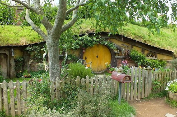 Tauranga-Hobbiton-Rotorua : Movie Set & Geysers: Private Tour - Te Puia in Rotorua: Māori welcome plus Pohutu eruptions